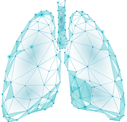lungs1 lungs1